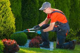 Comprehensive Guide to Garden Maintenance by PaveRose