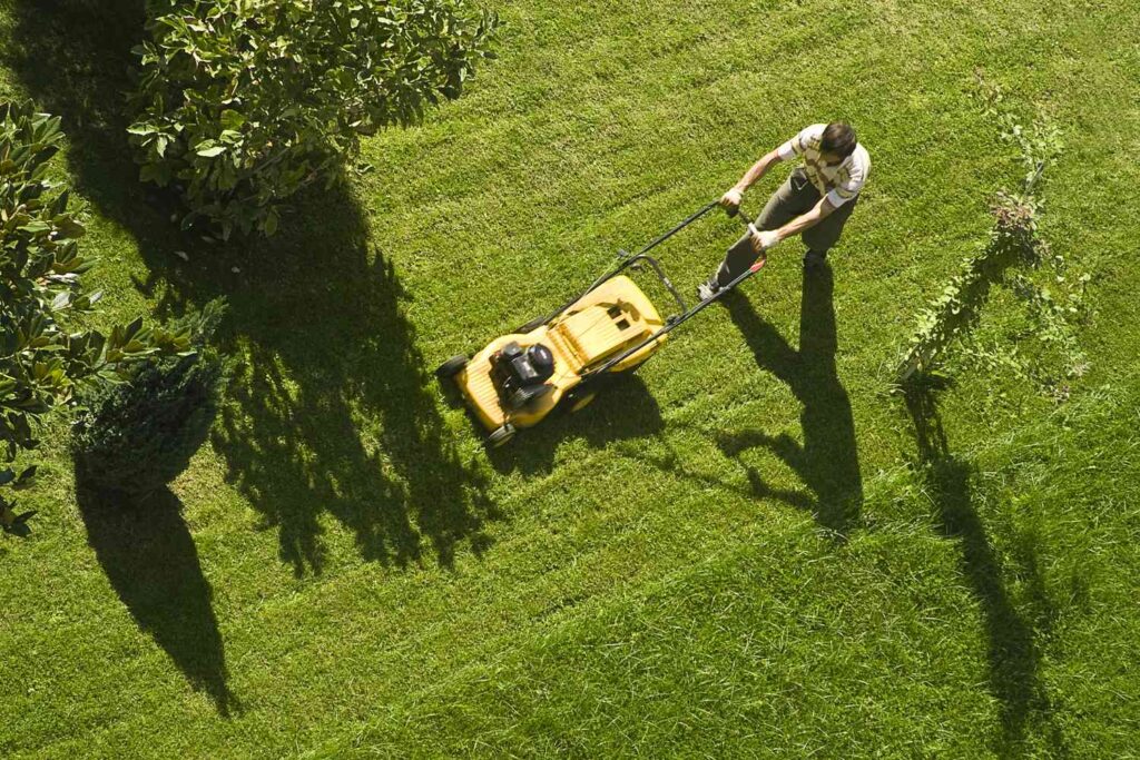 The Ultimate Guide to Lawn Care by PaveRose